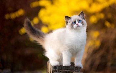 恐怖ReLIFE方法
