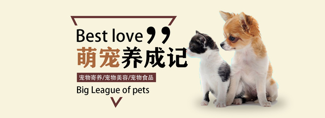 间谍过家家怎么玩