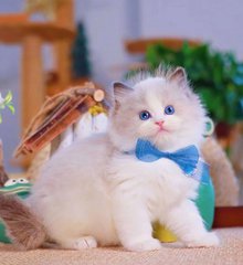 小众ReLIFE高清下载